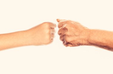 Old man and kid holding hands are fist bumping. Little and big fists of father and son. Mother and kid daughter are fist bumping. clipart