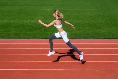 Stadyumda spor yapan kadın, koş. Stadyum pistinde koşan genç bir fitness oyuncusu. Spor giyimli bir kadın stadyumda koşuyor. Spor giyim sektöründe atlayan bir kadın. Stadyumda koşan bir kadın.