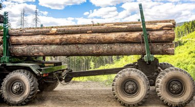 Kütükler traktörün üzerine katlanmış. Kereste kamyonu kereste fabrikasına kereste getirdi. Tahta depolama yerinde kereste taşıyıcısı ve testere kütükleri var. Orman endüstrisi. Tahta kütükleri taşımak için kamyon.