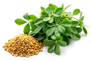 Fresh fenugreek leaves with seeds, isolated on white background clipart