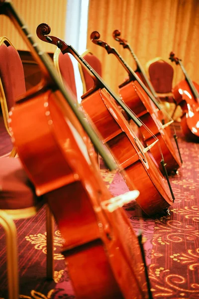 Χρώμα Εικόνας Μιας Σειράς Cellos Ένα Δωμάτιο — Φωτογραφία Αρχείου