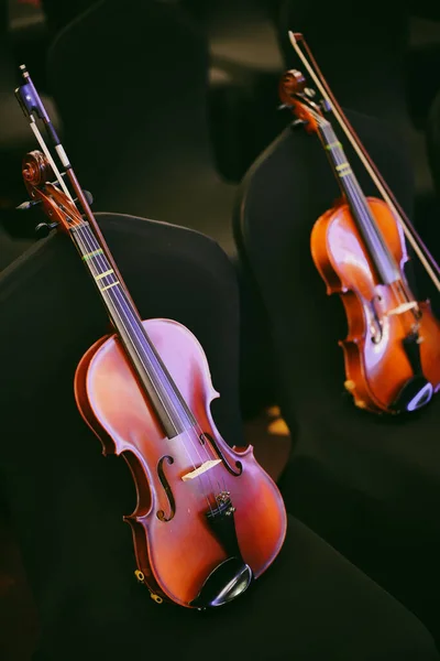 Detailansicht Zweier Geigen Auf Einigen Stühlen — Stockfoto