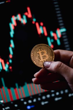 Elinde mum çubuğu grafiği ve dijital arkaplanı olan altın bir Bitcoin kripto para tutuyordu..