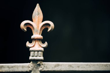 Close up color shot of  a lily on iron forged fence.