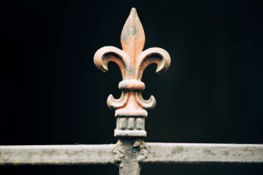 Close up color shot of  a lily on iron forged fence.