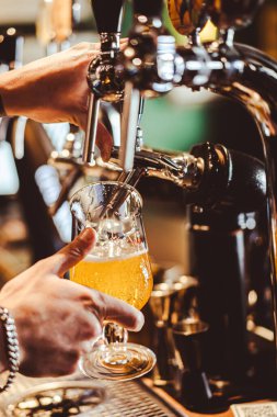 Cropped hand of bartender filling beer from tap at bar.