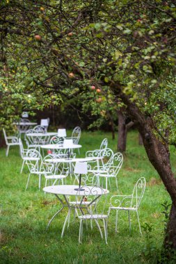 Yeşil bir meyve bahçesindeki açık hava restoranındaki sıra sıra masa ve sandalyelerin renkli görüntüsü.