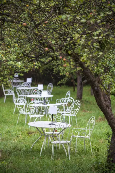 Yeşil bir meyve bahçesindeki açık hava restoranındaki sıra sıra masa ve sandalyelerin renkli görüntüsü.
