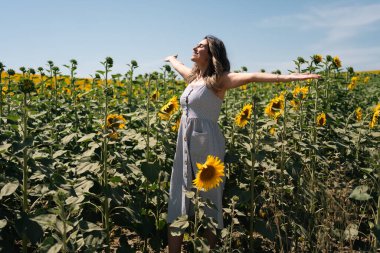 Ayçiçeği tarlasında mutlu kadın kolları yükseliyor ve eğleniyor. Yüksek kalite fotoğraf