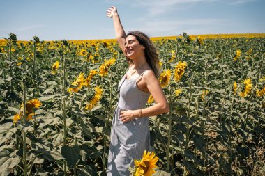 Ayçiçeği tarlasında mutlu kadın kolları yükseliyor ve eğleniyor. Yüksek kalite fotoğraf