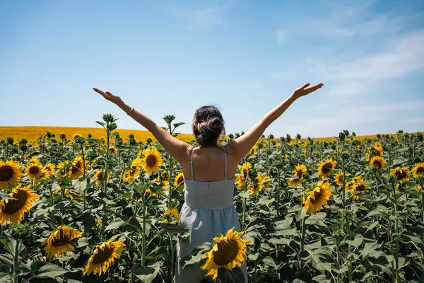 Ayçiçeği tarlasında mutlu kadın kolları yükseliyor ve eğleniyor. Yüksek kalite fotoğraf