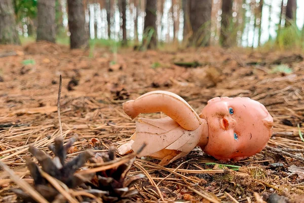 一个破了的旧塑料娃娃躺在树林里 被遗弃的玩具 免版税图库照片