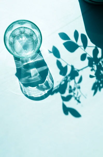 Ombre Nitide Uno Sfondo Bianco Ombre Bicchiere Vuoto Foglie — Foto Stock