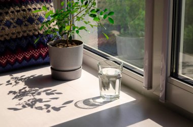 Keskin gölgeler. Bir bardak saf kaynak suyu ve keskin gölgeler.