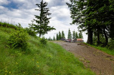 Seyahat içeriği. Yağmurdan sonra Ukrayna Karpatlarının Alp manzarası