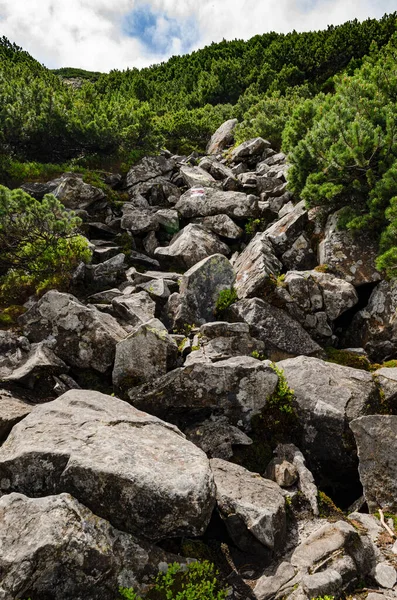 Tourism Steep Tourist Stone Route Top Mountain — Stock Photo, Image