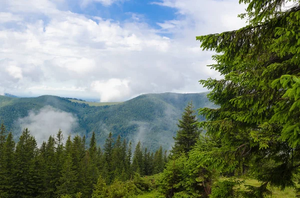 Alpejski Krajobraz Karpat Ukraińskich Turystyka Górska Wędrówki Górach — Zdjęcie stockowe