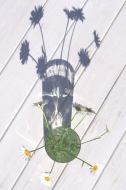 Bir bardak suda beyaz papatyalar. Tahta bir masada keskin gölgeler