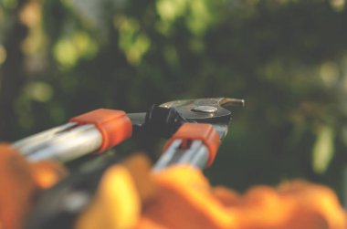 Bahçe budamak için profesyonel budama makası. Yaz Bahçesi Pruning