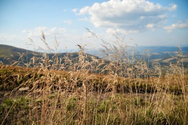 Yazın dağlarda doğal manzara. Parlak mavi gökyüzü ile güneşli kırsal manzara. Doğa koruma kavramı.
