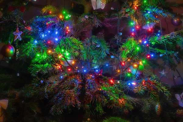 Πολύχρωμα Φώτα Στο Χριστουγεννιάτικο Δέντρο Χριστουγεννιάτικα Φώτα Γιρλάντα Στο Κλαδί — Φωτογραφία Αρχείου