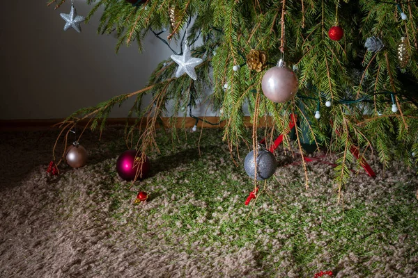 Árbol Navidad Con Picos Secos Cayendo Por Toda Alfombra Abeto —  Fotos de Stock