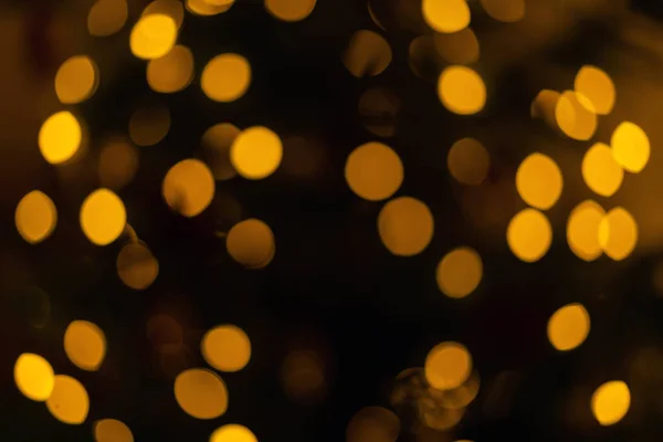 Noel Ağacında Bulanık Noel Işıkları Var Parlak Çelenkle Süslenmiş Çam - Stok İmaj