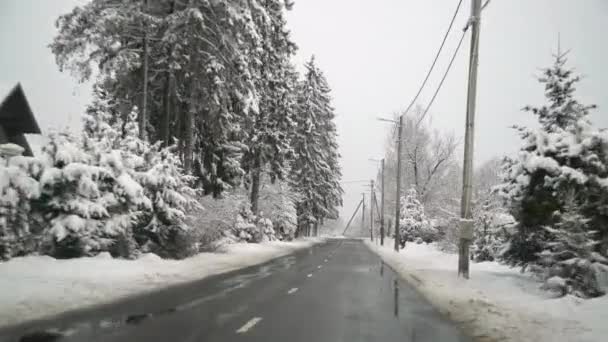 Car Driving Country Side Road Snow Storm Beautiful Snowy Trees — Stock Video