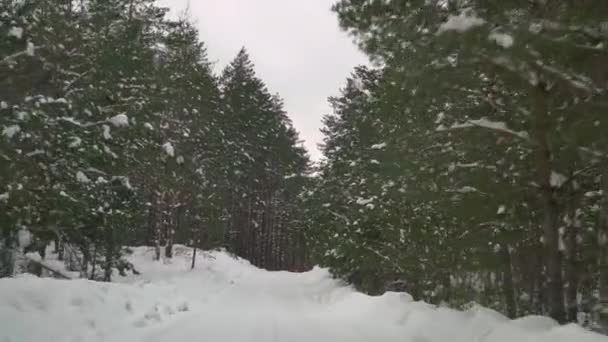 Driving Caution Slippery Road Covered Snow Forest Car Driving Empty — Stock Video