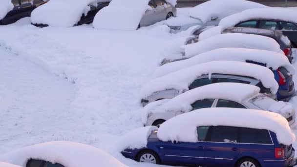 Машина Густым Снежным Покровом После Шторма Транспортные Средства Похоронены Льдом — стоковое видео