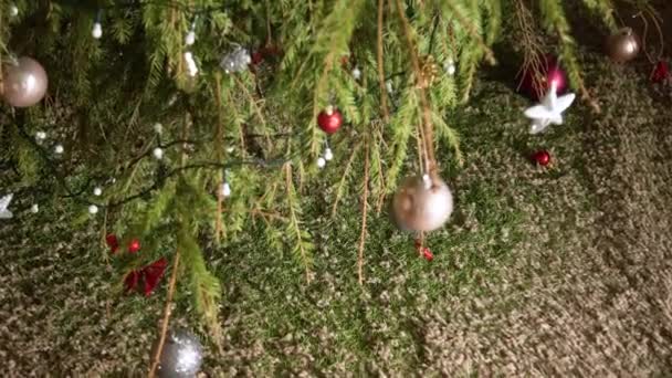 Karácsonyfa Kiszáradt Tüskékkel Szőnyegen Döglött Fenyő Tövisekkel Borított Padló Ünnepek — Stock videók