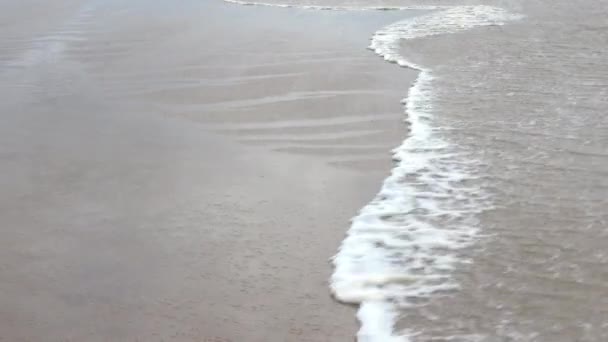 Сильный Ветер Берегу Моря Опасная Погода Перед Наводнением Береговой Линии — стоковое видео