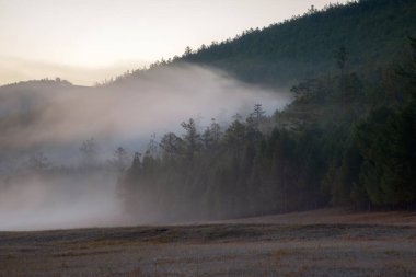 Terelj Ulusal Parkı manzarası, Moğolistan 'daki dağ sırtı. Arka planda dramatik sis olan vadinin genel görünümü.