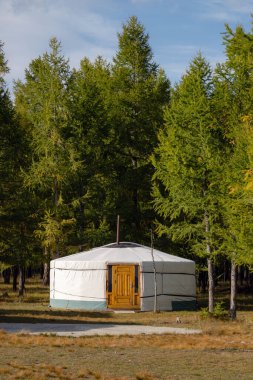 Moğolistan 'da güneşli bir günde Yurt Kampı. Kırsal kesimde Ger kamp alanı, arka planda doğa..