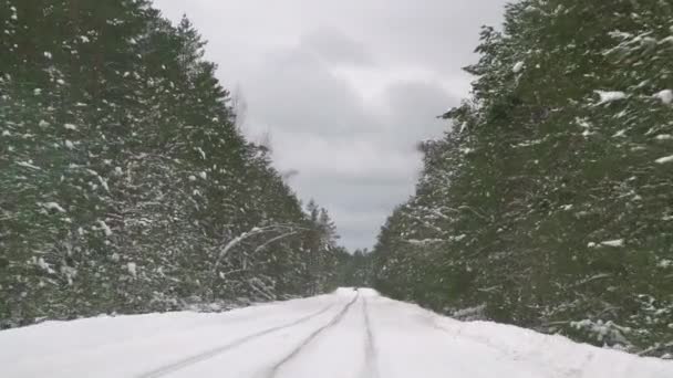 Jezdit Opatrně Kluzké Cestě Pokryté Sněhem Lese Auto Jede Zimě — Stock video