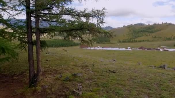 Юртовый Лагерь Прекрасный Солнечный День Монголии Ger Кемпинг Сельской Местности — стоковое видео