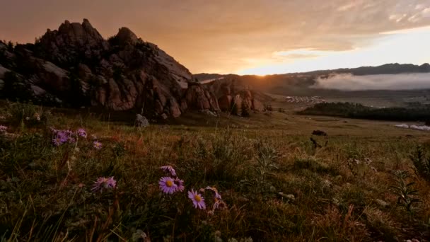 Solen Går Upp Över Mongoliska Berg Dimmig Morgon Blommor Och — Stockvideo
