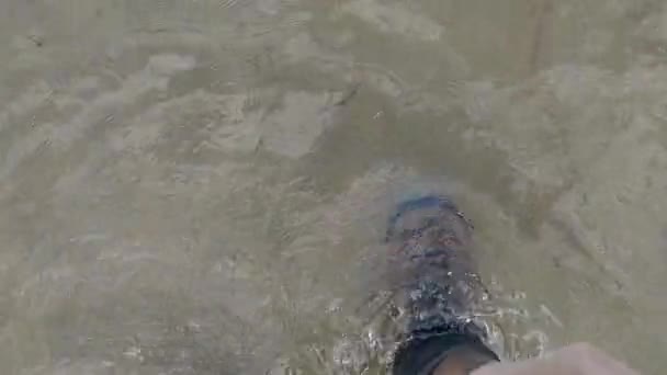 Fisherman Wading Waterproof Boots River Catch Release Sunny Day Freshwater — Video Stock