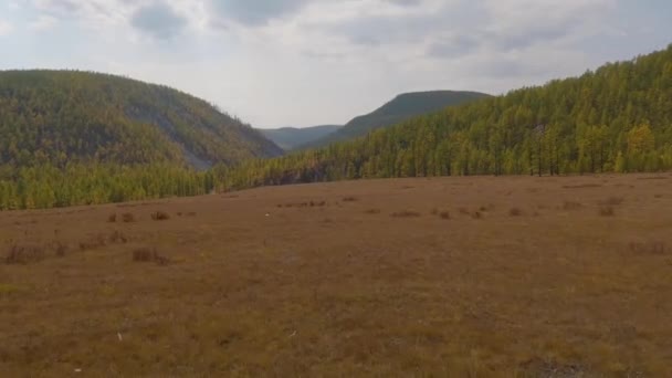 Traveling Open Steppe Fields Majestic Mongolian Mountains Rural Countryside Landscape — Vídeo de Stock