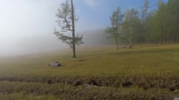 Suv Car Driving Hunting Expedition Foggy Field Mongolian Wilderness — Video Stock
