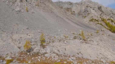 Güneşli bir günde kayalık dağlarda ağaçların arasında dolaşmak. Taşra yolundaki kayalık tepeler. 