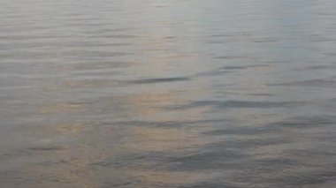 Arka planda güzel dağlar olan Khovsgol Gölü 'nün görkemli manzarası. Ufukta sisli görünen gökyüzü ile mavi su kenarı. 