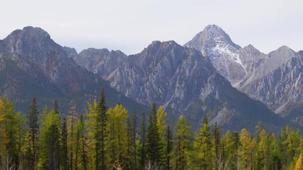 Скелястий Гірський Краєвид Деревами Ростуть Схилі Сонячний День Гірські Пагорби — стокове відео