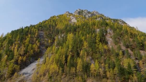 Rocky Cliff Landscape Overgrown Trees Mongolia Sunny Day Traveling Hiking — Stock Video