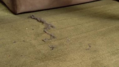 Close up of hand cleaning green carpet surface with a carpet tool. Rug cleaning device. 