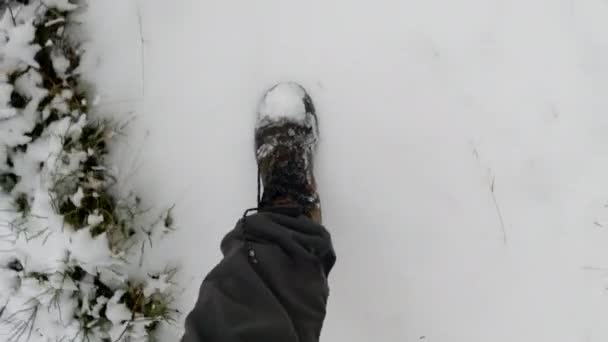 Man Walking Snow Path Forest Hiking Outdoors Cold Winter Day — Video Stock