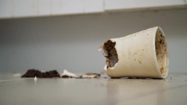 Broken Tea Cup Laying Kitchen Floor Smashed Coffee Mug Coffee — Vídeos de Stock