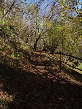 Zümrüt Havuzları, Friulian Dolomitleri 'nin Doğal Parkı' nın yedi vadisinden biri olan Val Tramontina 'da (Tramonti di Sopra) yer alır.