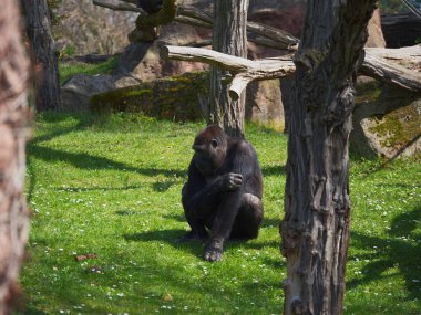 Hayvanat bahçesi yeni şeyleri görmek ve tecrübe etmek için harika bir yerdir..