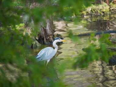 Hayvanat bahçesi yeni şeyleri görmek ve tecrübe etmek için harika bir yerdir..